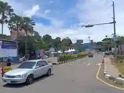 Lalin di Puncak Bogor Makin Padat, One Way Menuju Jakarta Mulai Diterapkan Siang Ini